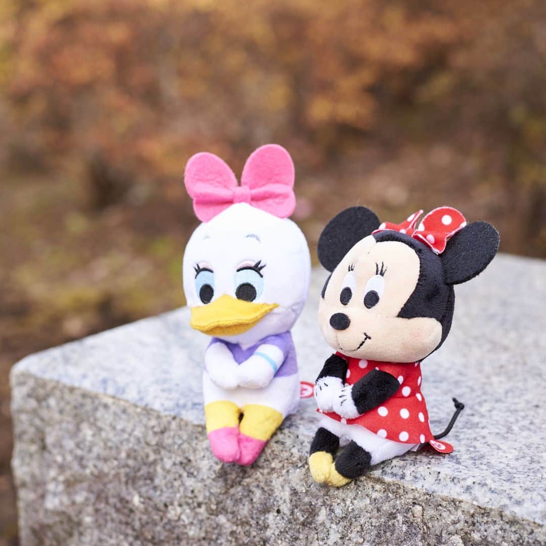 のインスタグラム：「#20180325 * 今日は、女子旅に出発！ ミニーとデイジーとたくさん話すことがあるの！ * #ちょっこりさん#デイジー#ミニー #ぬい撮り#ぬいぐるみ#女子旅 #chokkorisan#disney #takaratomyarts #ぬいぐるみと撮り隊 #disney写真部 #ちょっこりさん好きな人とつながりたい #ちょっこりさん写真部 #ディズニー好きな人とつながりたい」