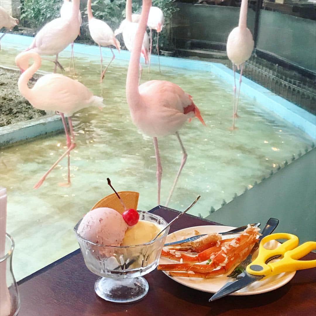 平野紗季子さんのインスタグラム写真 - (平野紗季子Instagram)「フラミンゴ×カニ料理=シーフードレストラン・メヒコ ⛱ (メキシコ要素ゼロ)  想像絶した☺️」3月25日 11時36分 - sakikohirano