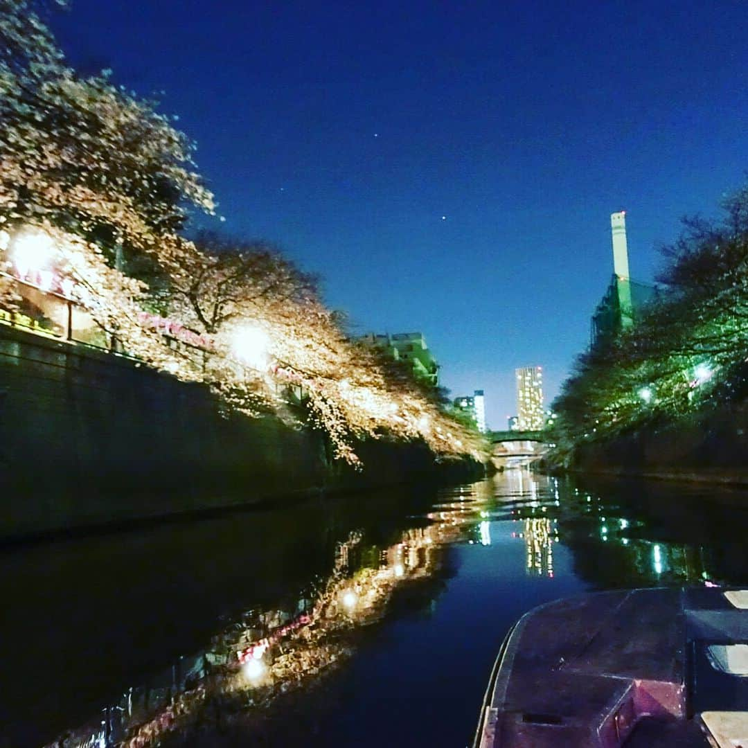 比嘉愛未さんのインスタグラム写真 - (比嘉愛未Instagram)「夜桜🌸と白イチゴシャンパン🥂🍓✨ #花見 #桜 #中目黒 #目黒川 #いちごシャンパン #白イチゴ #シャンパン #贅沢だわ♡ #わたしの小指にも注目」3月25日 12時20分 - higa_manami