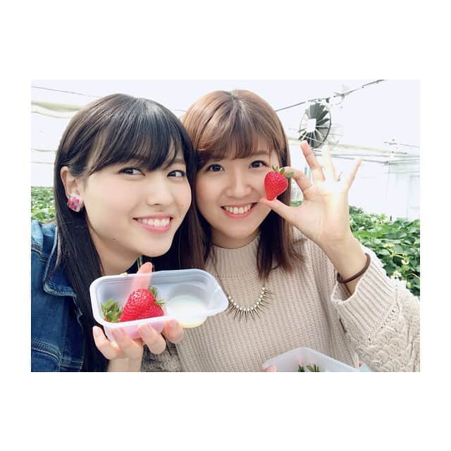 のインスタグラム：「今日は舞美と朝から秩父に日帰り旅行してきました☺️💖 まずは秩父フルーツファームにて、いちご狩りとバーベキューしたよ🍓💓 #秩父 #日帰り旅行 #女子旅 #いちご狩り #秩父フルーツファーム #スタッフさん #優しすぎた #ありがとうございました」