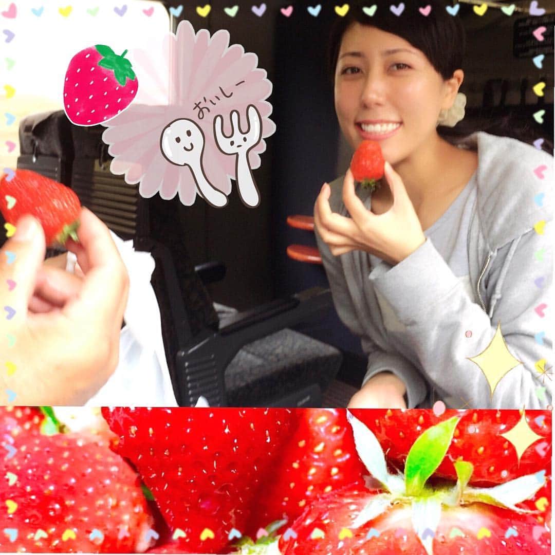 寺田浩子さんのインスタグラム写真 - (寺田浩子Instagram)「祖父の100歳の誕生日に長崎に行った帰り。 父と頂いた苺を。 久々の家族旅行でした。 (撮影:母)  #苺 #いちご」3月25日 15時28分 - hiroko.2019