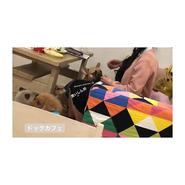 RENA（久保田玲奈）さんのインスタグラム写真 - (RENA（久保田玲奈）Instagram)「‪ 🌸🌸Off day🌸🌸‬」3月25日 16時45分 - sb_rena