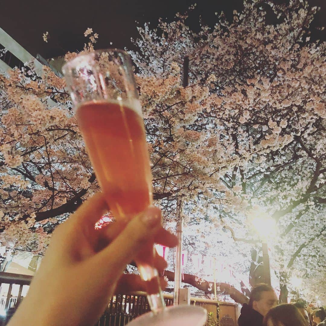 ひよんさんのインスタグラム写真 - (ひよんInstagram)「🌸🍸🍓🍾🥟 ㅤㅤㅤㅤㅤㅤㅤㅤㅤㅤㅤㅤㅤ 昨日は中目黒に夜桜を見に行ったの(^^)🌸💜 たっくさん人がいてびっくりしたけど、土曜日だもんそりゃそうだ。ってなった😹ㅋㅋㅋ  最後は餃子にたどり着いて幸せすぎる土曜日でした🥟🥟🥟✨ㅎㅎㅎ ㅤㅤㅤㅤㅤㅤㅤㅤㅤㅤㅤㅤㅤ 今日は21時に #ひよんちゃんねる 更新予定だよ♡ ひよんの #毎日メイク を1から全部見せるから時間がとっても長いのだけど、みんなめげずに見てね(TT)❤️❤️笑 ㅤㅤㅤㅤㅤㅤㅤㅤㅤㅤㅤㅤㅤ #sakura #nakameguro #tokyo #spring #korean #youtuber #youtube #makeup #사쿠라 #봄 #한국인 #유튜브 #희영 #메이크업 #일상 #나카메구로 #中目黒 #さくら #桜 #夜桜 #春 #目黒川 #ひよん #ひよんちゃんねる #メイク #インスタ限定」3月25日 19時48分 - cchan_fee4