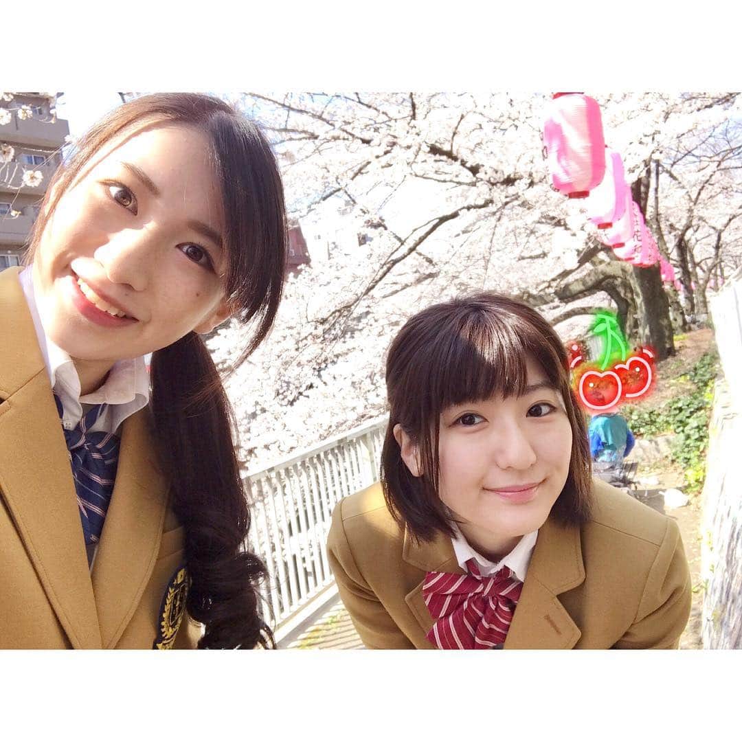 加藤一華さんのインスタグラム写真 - (加藤一華Instagram)「. いつの間に、、！ 桜満開でした😲🌸🌸 . #cherryblossoms #blossom #桜 #flowers #いちなる #me #like #love #views #beautiful #お花見 #girl #japanese #japan」3月25日 20時07分 - ichika_kato