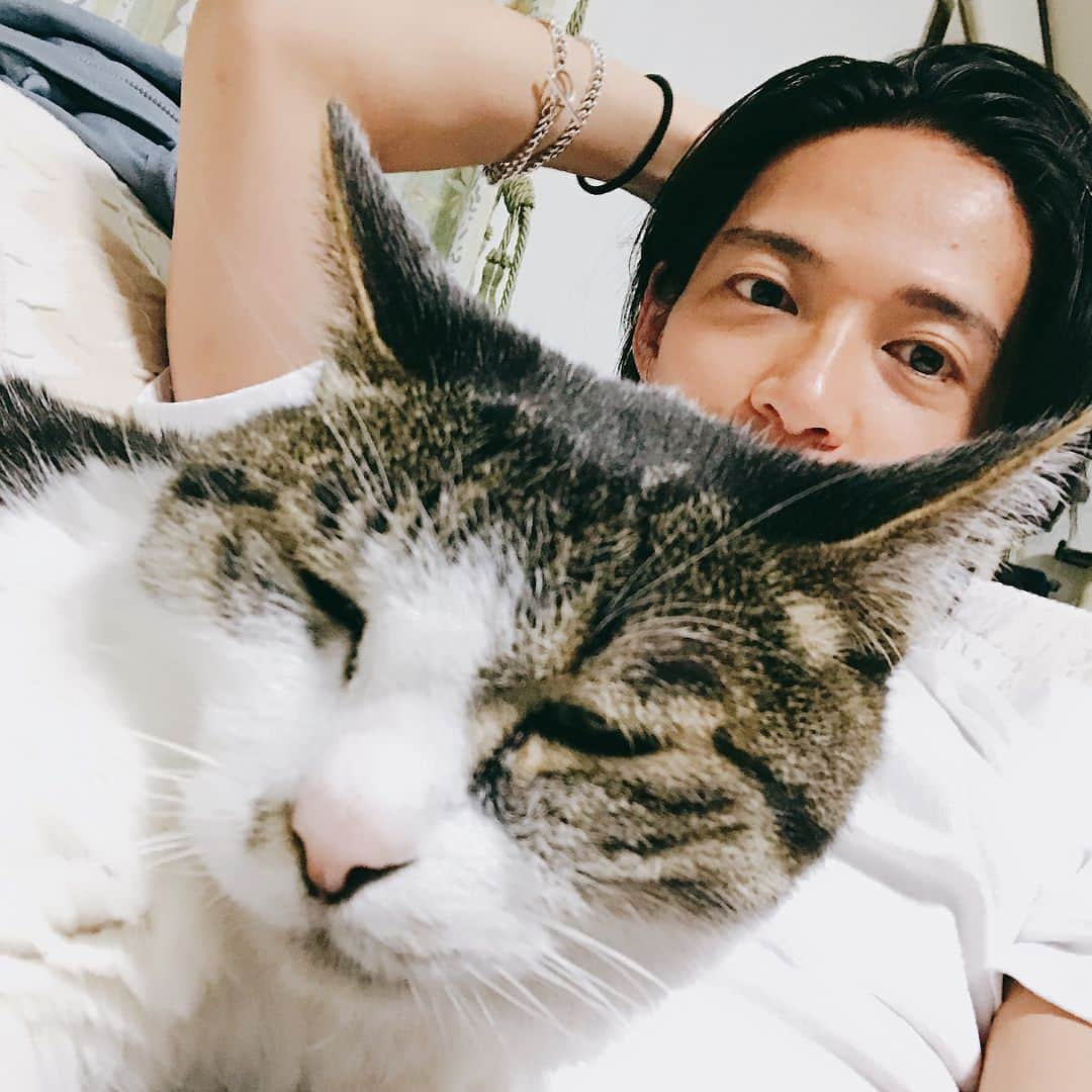 久保裕丈さんのインスタグラム写真 - (久保裕丈Instagram)「猫危篤の報を聞きつけて、大急ぎで実家に帰るも、一旦は落ち着いたみたいで元気になってた😸ほんとーによかった、、、 長生きしてくれてありがとお😊 #猫 #17歳 #お腹から動かない」3月25日 20時50分 - hirotakekubo