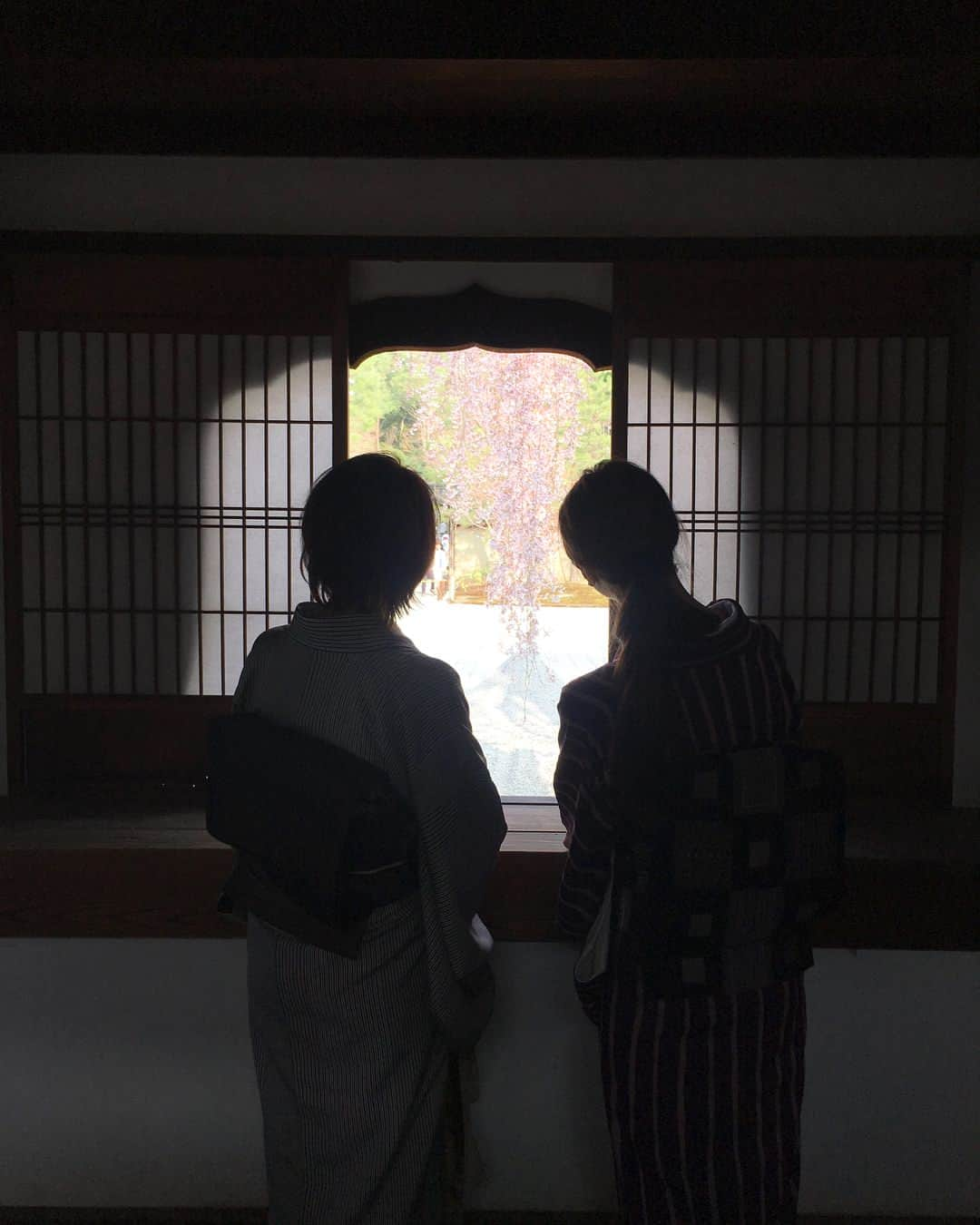 森直美さんのインスタグラム写真 - (森直美Instagram)「着物親娘麦酒花見京都旅👘🌸⛩🙏🍻パワフルな母のお誘いでお出かけ。 #高台寺 #9分咲き #コウダイジザクラ #明日明後日が満開だそう」3月25日 20時57分 - naomi_mori63