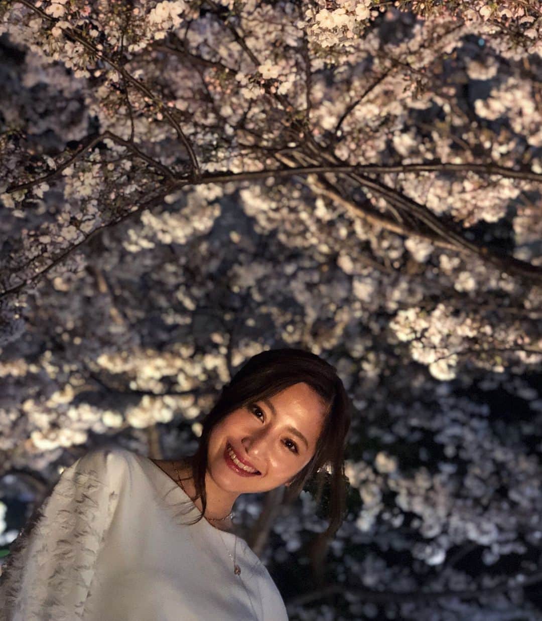 雨宮みずきさんのインスタグラム写真 - (雨宮みずきInstagram)「． 夜桜の下で 美味しいワインと 美味しいごはんと 素敵なメンバーと 優雅なお花見🍷🍡🌸 ． #夜桜#お花見#桜 #calerajensen#wine #cherryblossom」3月26日 17時39分 - ammymzk0926
