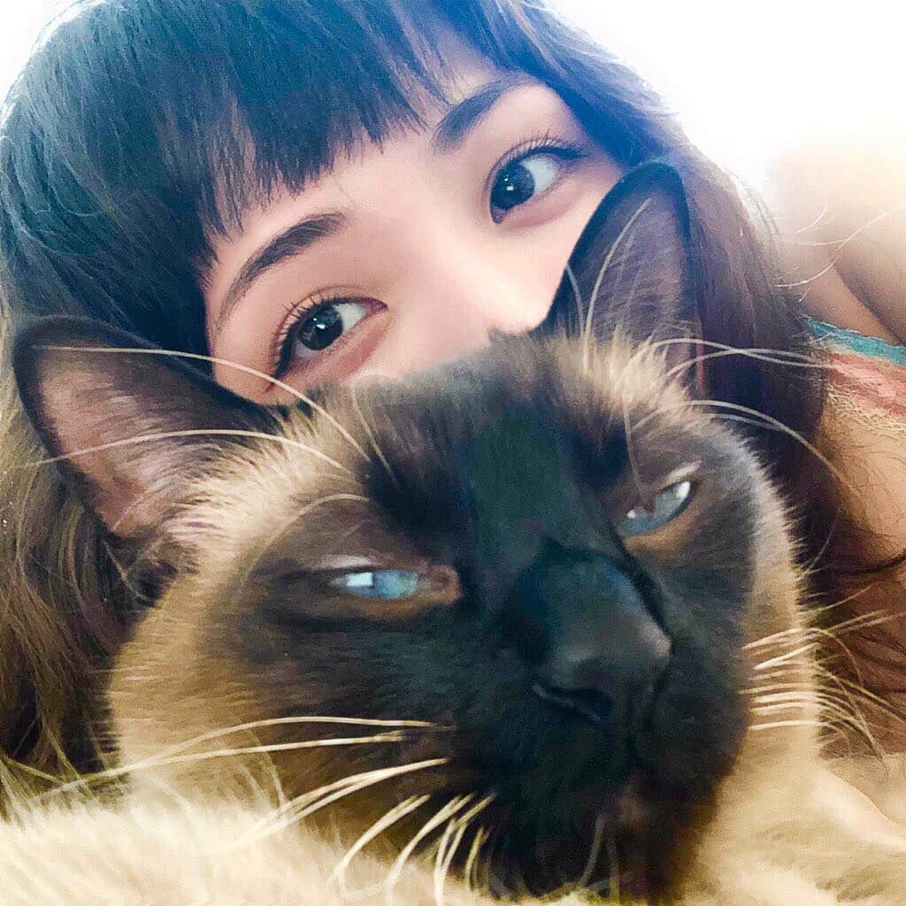 照沼ファリーザ（晶エリー）のインスタグラム：「リリとゴロゴロʚ♡⃛ɞ⋆｡˚」