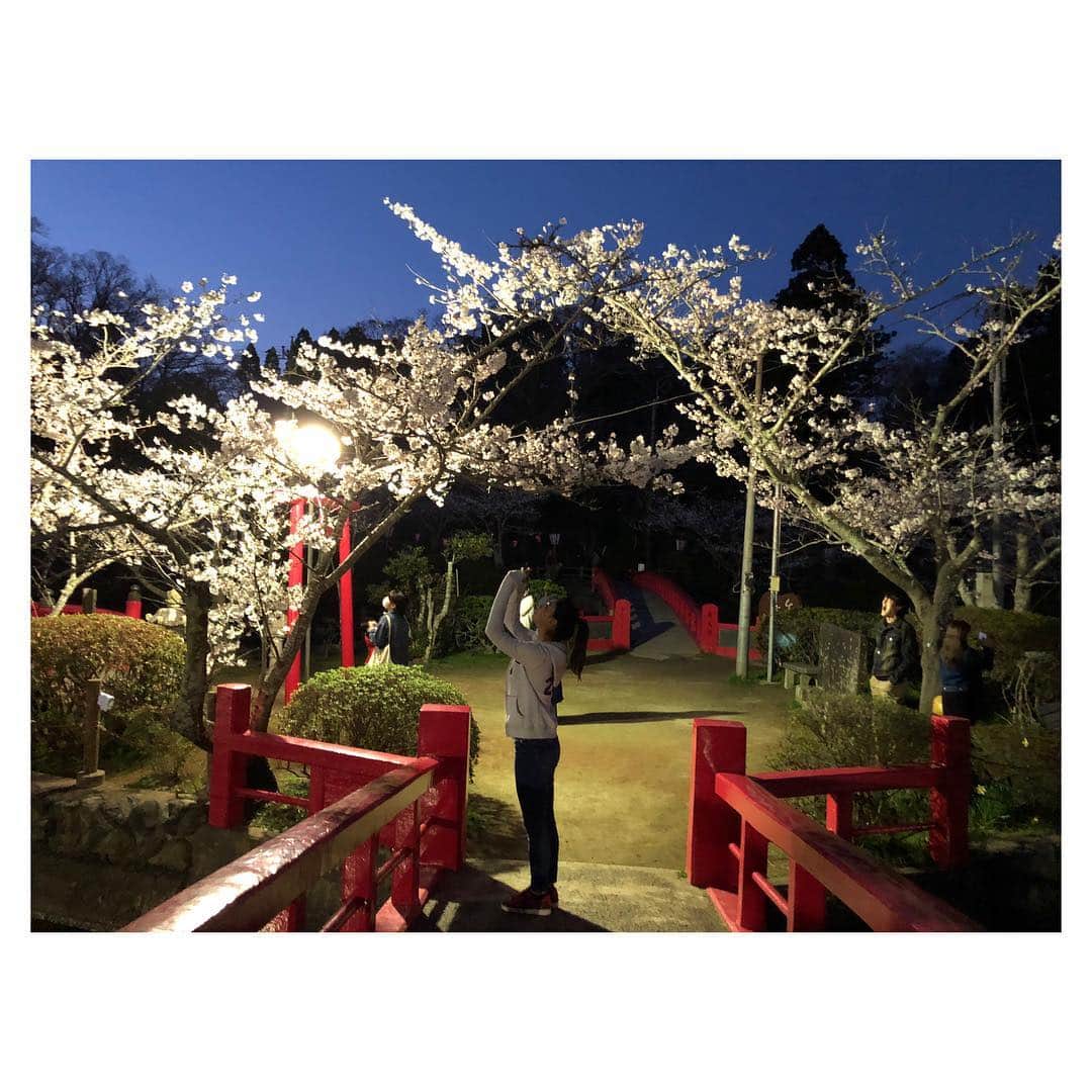 のインスタグラム：「夜桜🌸🌸 #photo #카메라 #daily #데일리  #followme #day #instagood #instagram #인스타그램 #sashidemizuki #指出瑞貴 #사시데미즈키 #mizukisashide」