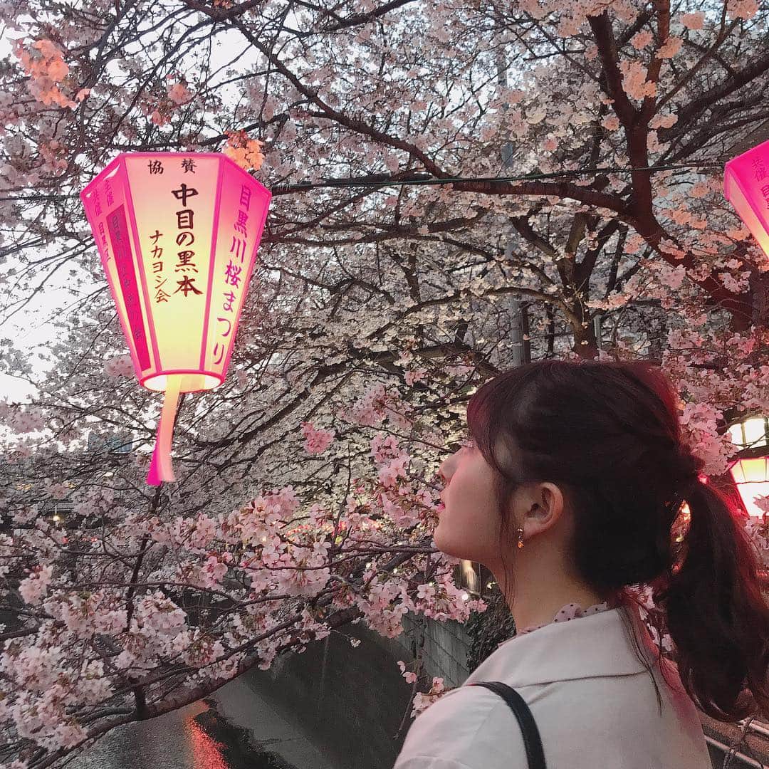大和田南那さんのインスタグラム写真 - (大和田南那Instagram)「. 綺麗だったな🌸 ずっと咲いててほしい . photo by @miakusakabe_official」3月26日 21時30分 - nanaowada_official