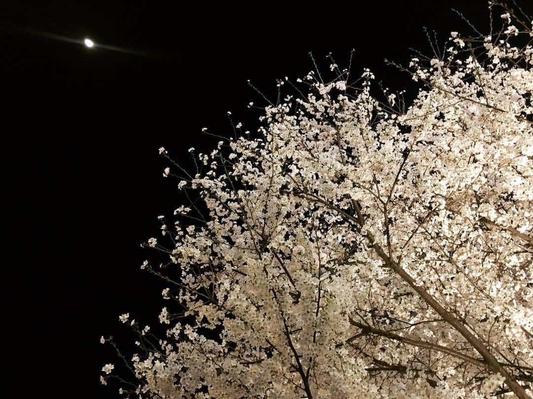 青木愛さんのインスタグラム写真 - (青木愛Instagram)「お月様と桜🌝🌸 お花見したいなー🌸🍡💓」3月26日 23時11分 - aiaoki_official