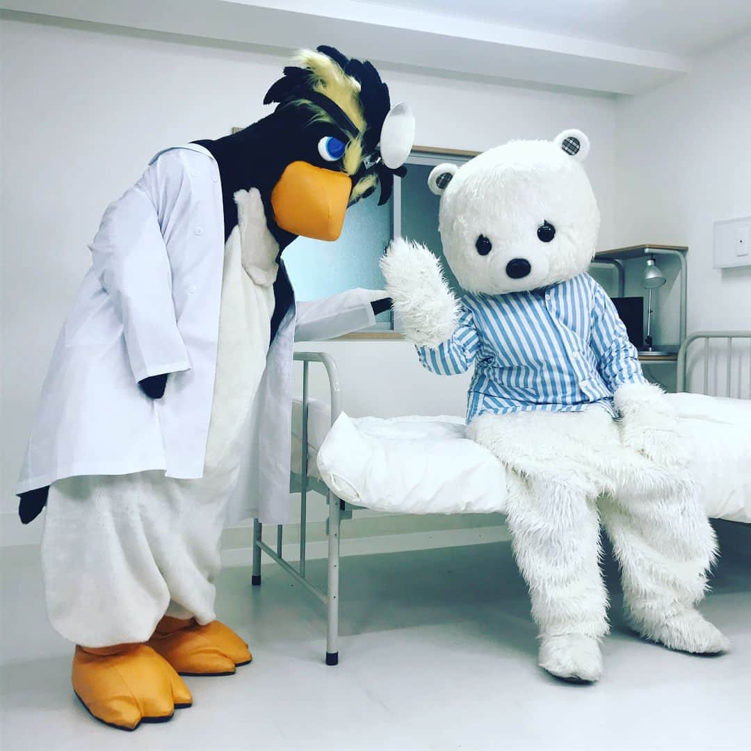 河野良祐さんのインスタグラム写真 - (河野良祐Instagram)「【今日の幸せ】﻿ ﻿ ペンギン&しろくま、再び。﻿ ﻿ #そこまで言って委員会NP﻿ #まさか、こんなに早く﻿ #またあの着ぐるみを着させてもらえるとは﻿ #前回は着ぐるみ姿で漫才﻿ #今回はコント！？﻿ #コント単独や『Mr.コント』やってて良かった﻿ #放送は4月29日(日)13時30分〜﻿ #読売テレビ﻿ #漫才劇場2018年運勢最下位﻿ #なのに、まさかの2週連続『そこまで言って委員会』出演﻿ #Twitterでは【今週の不幸】」4月25日 14時15分 - kitamina_kono