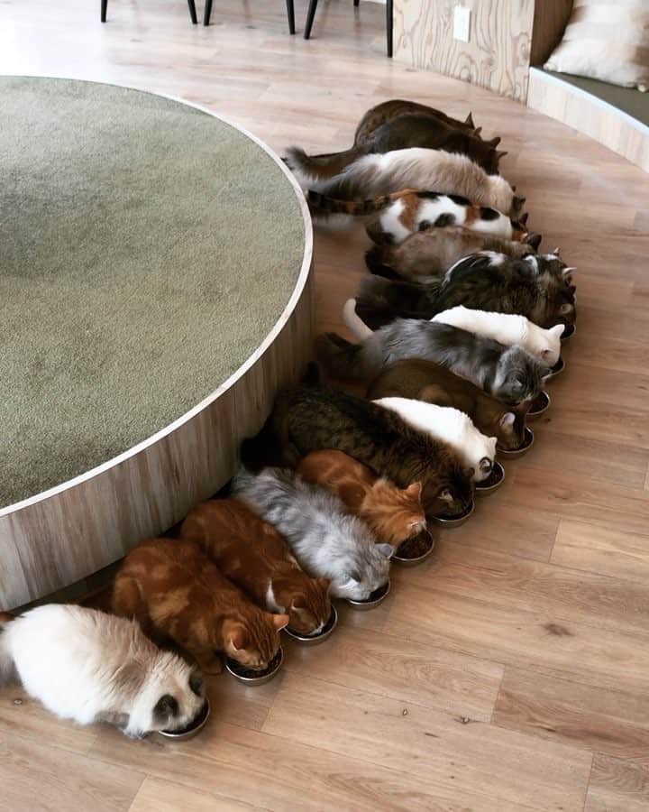 Marycakeのグルメインスタ