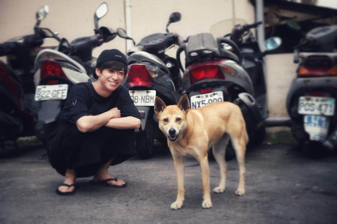 赤澤燈さんのインスタグラム写真 - (赤澤燈Instagram)「台ワン🐕」4月21日 12時37分 - akzw_tmr