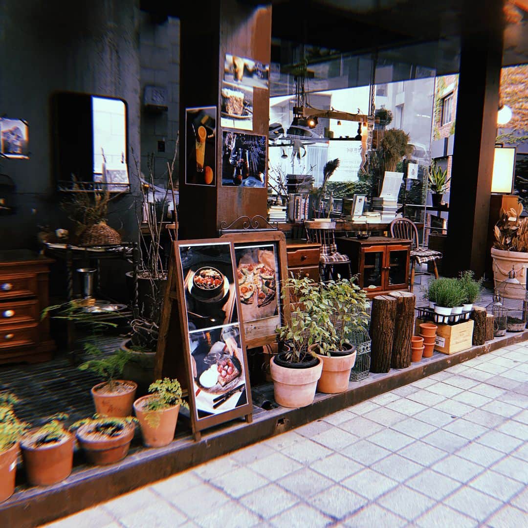 ホン・ジョンヒョンさんのインスタグラム写真 - (ホン・ジョンヒョンInstagram)「💐🌷🌸🌼🌻🌹🌺🍃🌿☘️🍀🌳🌵」4月21日 18時53分 - hjonghyun