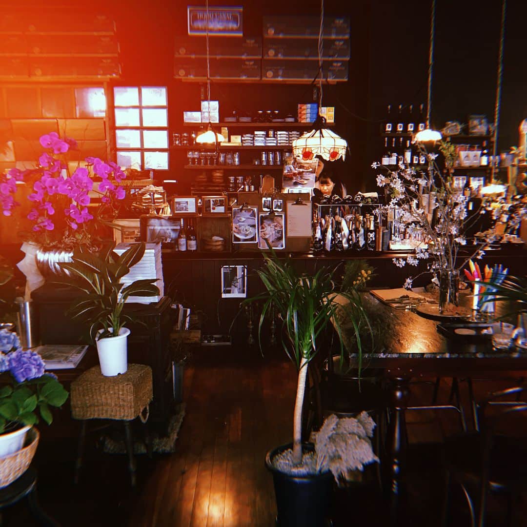 ホン・ジョンヒョンのインスタグラム：「💐🌷🌸🌼🌻🌹🌺🍃🌿☘️🍀🌳🌵」