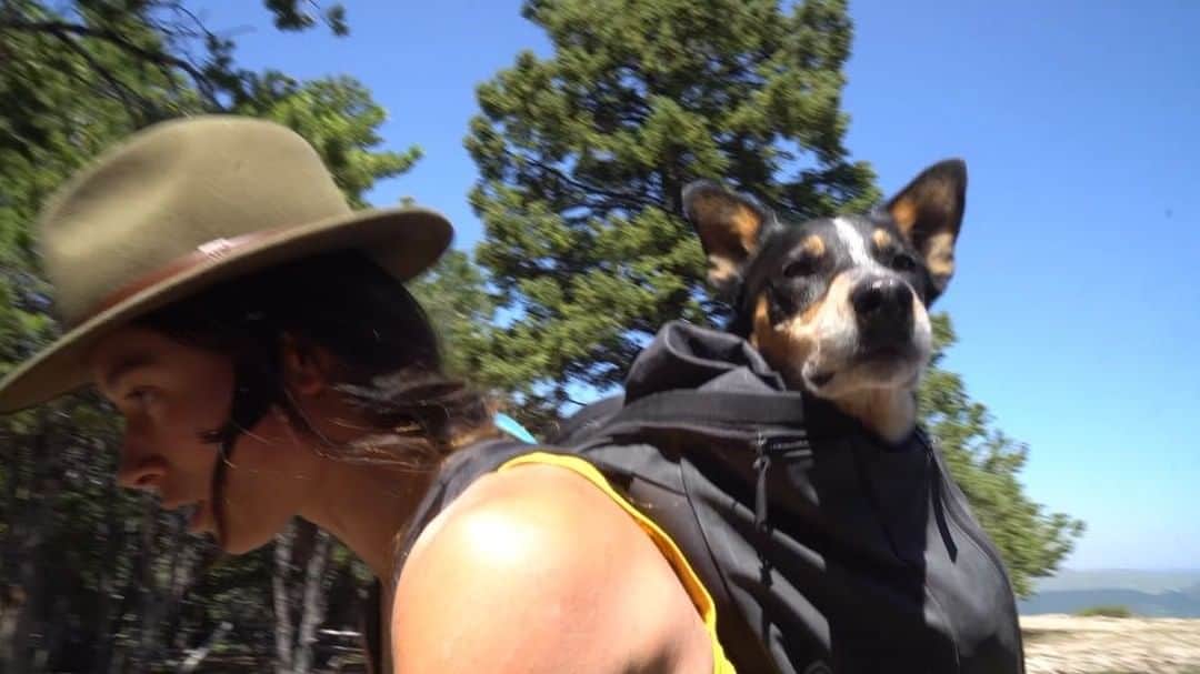 ジョー・キンダーのインスタグラム：「Have you ever gotten bad beta to a climbing area?! ”Lost In Tensleep”, a tiny vid @ltjian and I made last summer.  Enjoy! @blackdiamond」