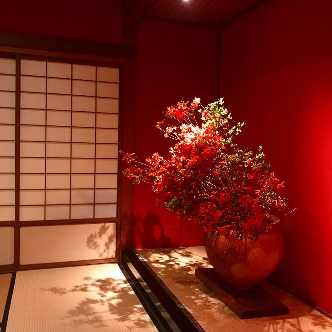 丸山敬太のグルメインスタ