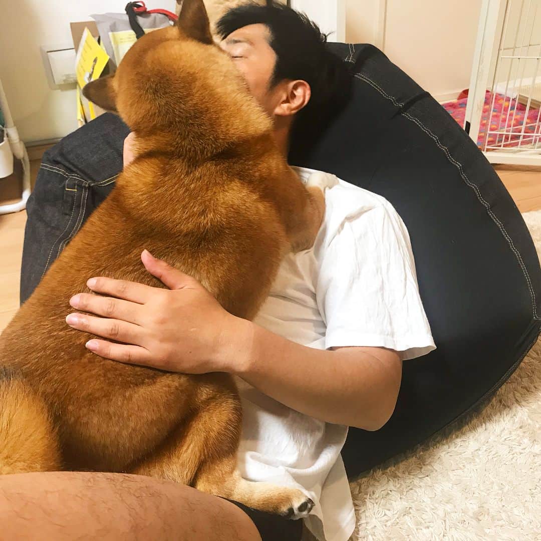尾形貴弘さんのインスタグラム写真 - (尾形貴弘Instagram)「さくらが寝るまでじっと待つミク。 さくらが寝たら、やっと寝た！って 思いきり甘えてくるミク。 なんて愛しい奴だ。。。 #柴犬大好き #柴犬マニア  #愛犬  #赤柴 #日本犬 #しば #しばいぬ  #しばけん  #しばちゃん  #しばいぬ大好き  #shibainu  #shiba  #shibastagram  #shiba_snap  #いぬ  #dog  #dogstagram  #犬ばか部  #いぬばか部 #ミク #三九 #みく #39 #パンサー尾形 #赤ちゃん #赤ちゃんのいる暮らし #赤ちゃんと犬 #生後1ヶ月 #サンキュー #ママリ」4月21日 22時38分 - miku3_miku_9