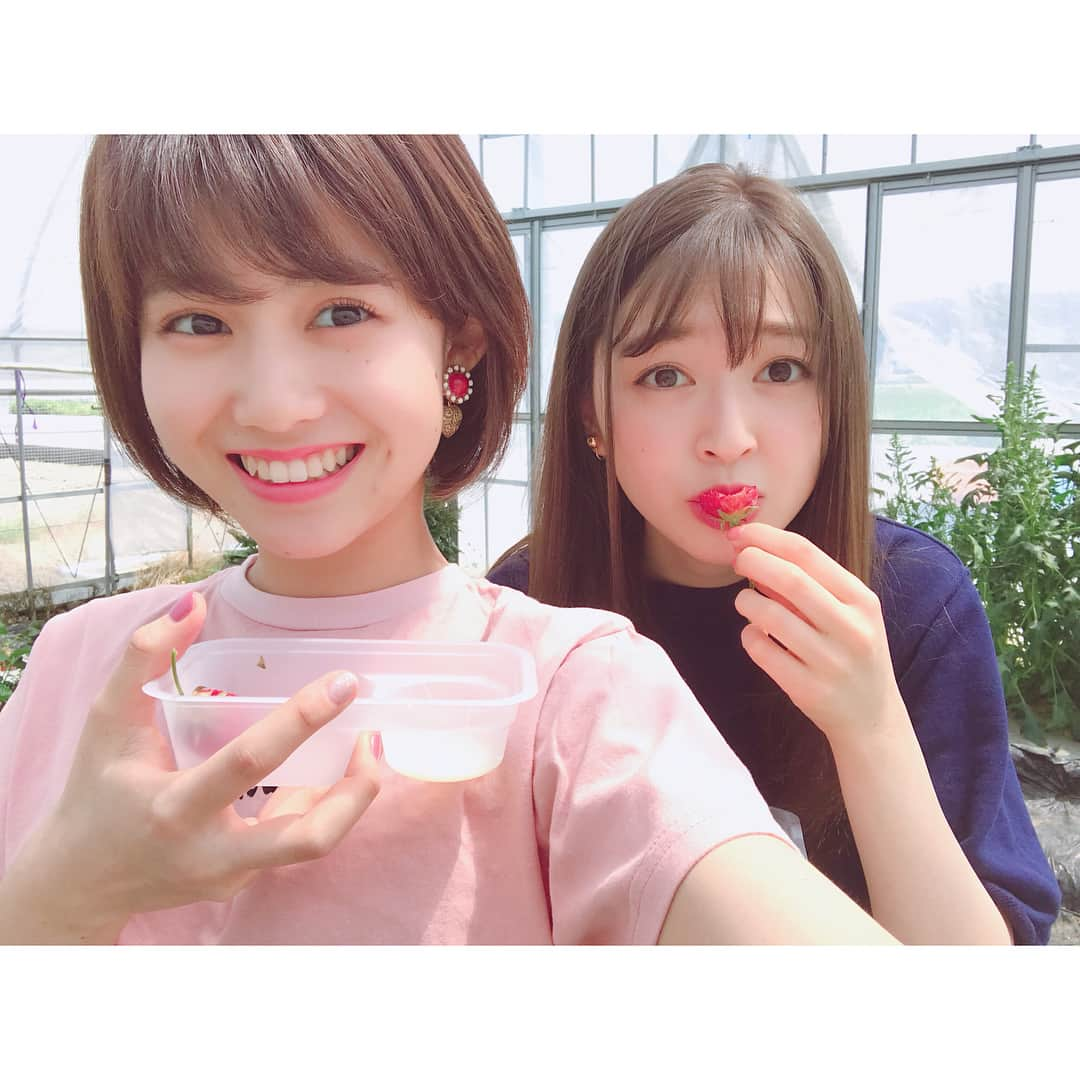 上西星来さんのインスタグラム写真 - (上西星来Instagram)「一枚目は いちご狩りの続きシーンの写真🤳！ 二枚はほうとう🍴 ほうとう初めて食べたの！💓 これは好きな食べ物ランキング上位に入る🤔 三枚目は 一緒に行ったあかりんと😻♥️ 私あごでてる笑 Seira¨̮♡︎ #山梨 #山梨県 #ほうとう #いちご狩り #みんな見てくれてありがとう 😊」4月22日 0時10分 - seira_jonishi_tpd