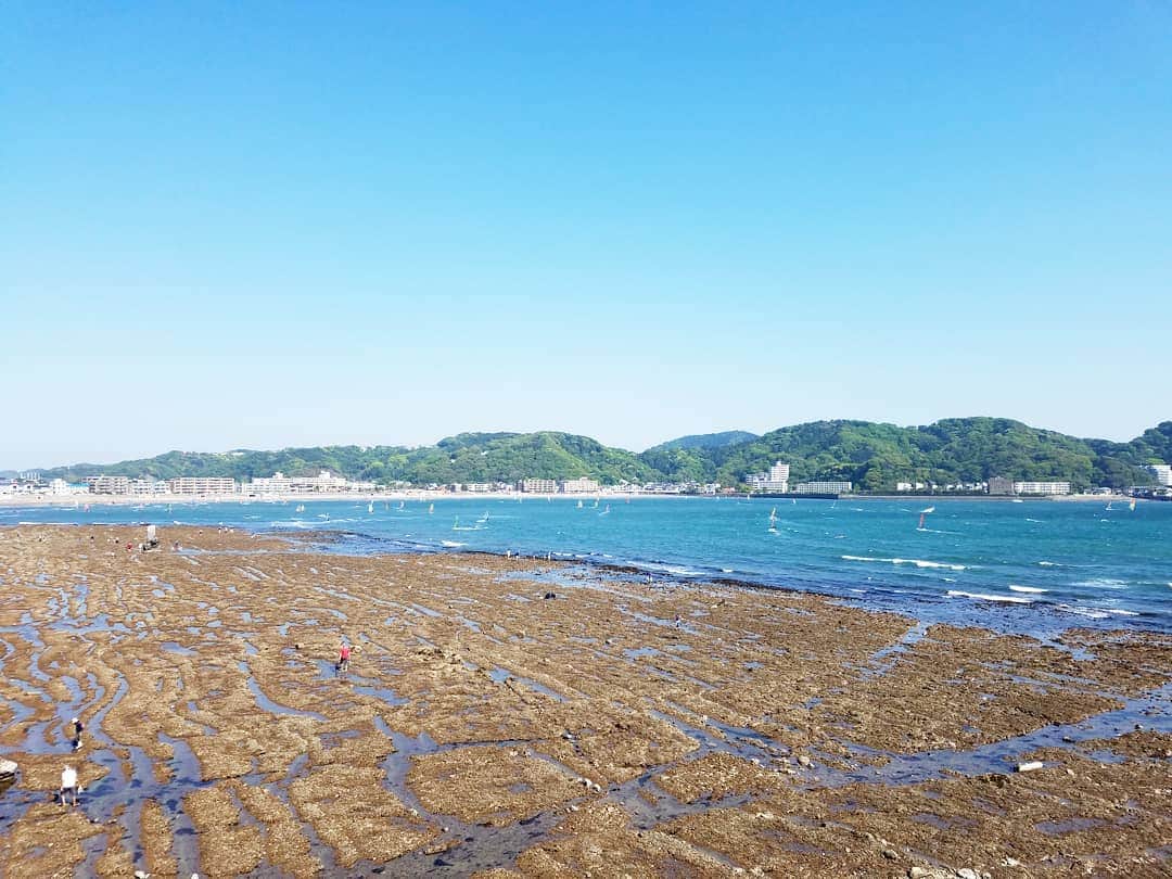 池田香織のインスタグラム：「昨日の逗子。 気持ちよかったなー。  #surfers  #逗子」