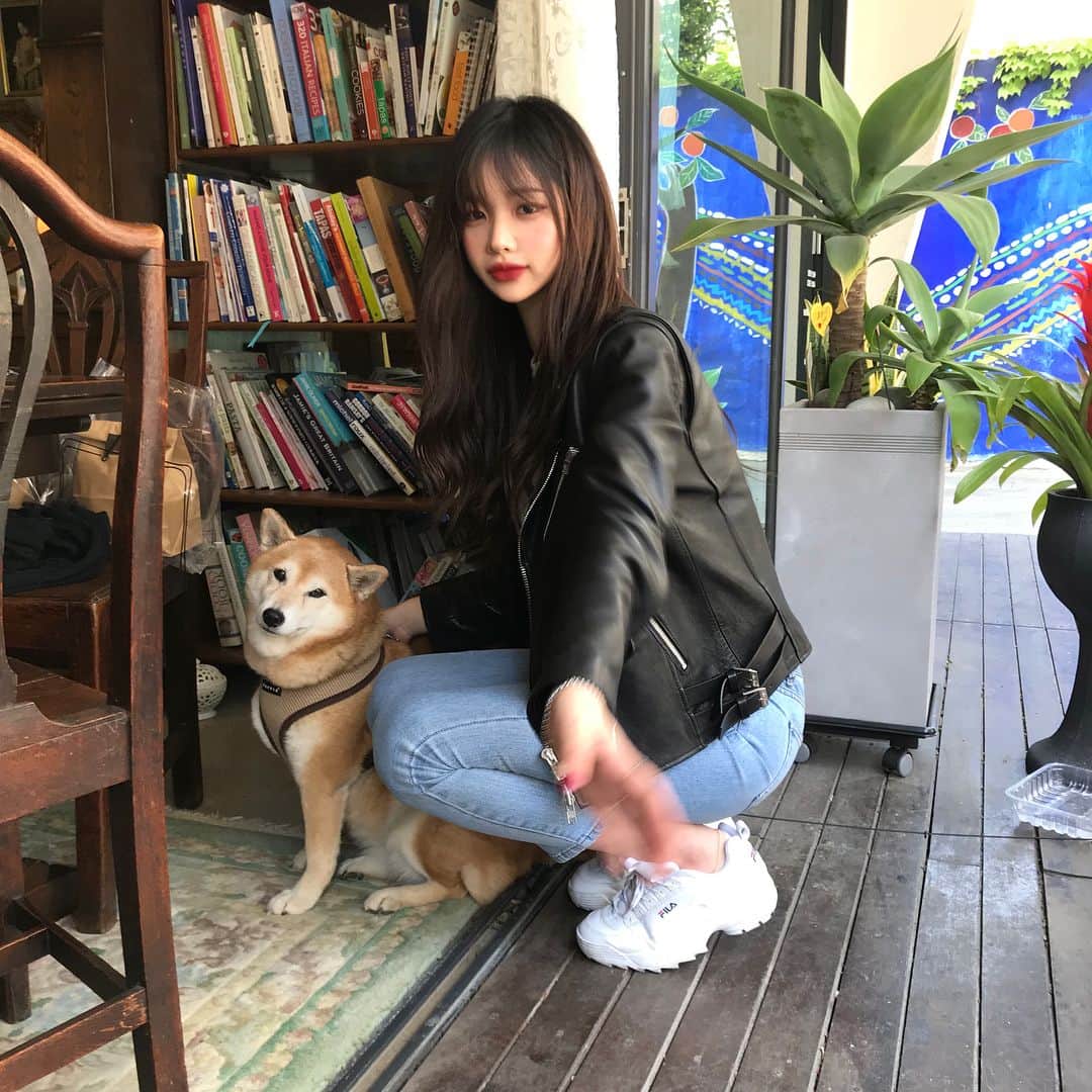 ナム・スミンさんのインスタグラム写真 - (ナム・スミンInstagram)「오로라는 미국 시바댕댕이라서 영어만 알아듣는다 앉아 하면 안 앉고 싯 해야 앉는다 귀여워어엉」4月22日 22時30分 - suminzz
