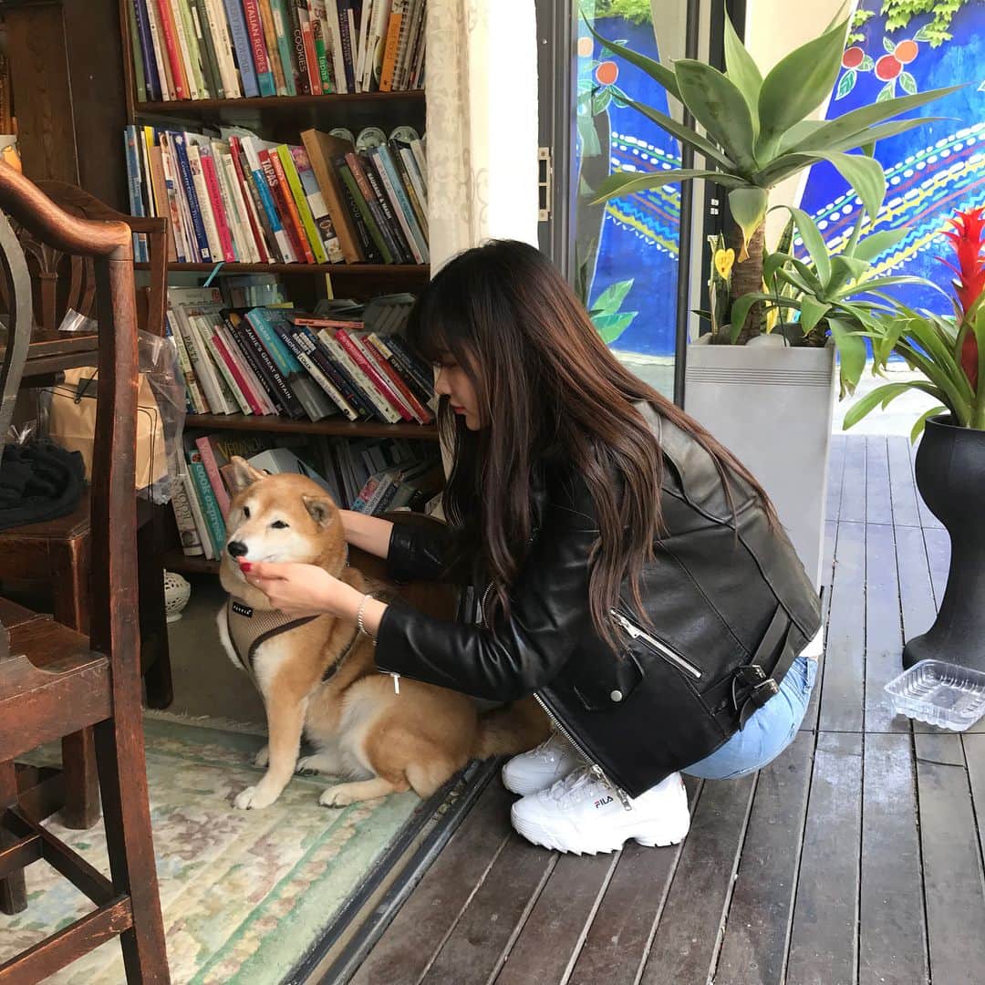 ナム・スミンさんのインスタグラム写真 - (ナム・スミンInstagram)「오로라는 미국 시바댕댕이라서 영어만 알아듣는다 앉아 하면 안 앉고 싯 해야 앉는다 귀여워어엉」4月22日 22時30分 - suminzz