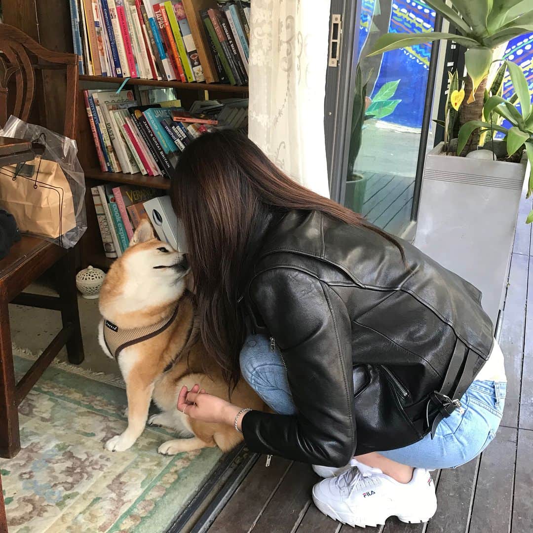 ナム・スミンさんのインスタグラム写真 - (ナム・スミンInstagram)「오로라는 미국 시바댕댕이라서 영어만 알아듣는다 앉아 하면 안 앉고 싯 해야 앉는다 귀여워어엉」4月22日 22時30分 - suminzz
