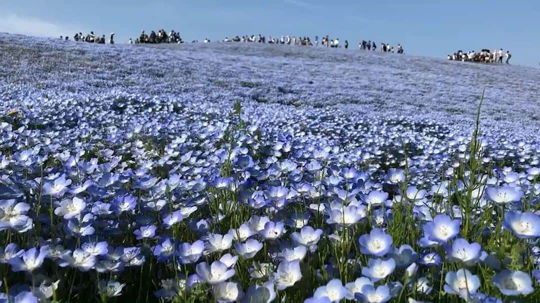 松澤千晶のインスタグラム