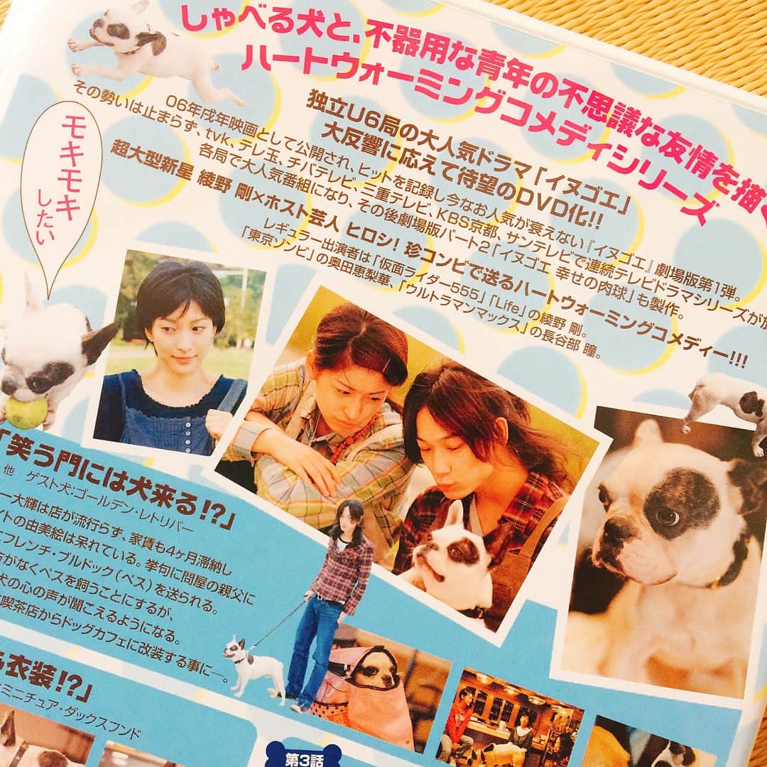 のインスタグラム：「甘いだけじゃない ピリッと辛い 刺激的なキャンディー🎵  今日は月曜日！ ドラマイヌゴエの放送日だよ💕 チバテレビにて24:30から( ´ ▽ ` )  今回のゲスト犬は芝犬🐕 健気な姿に思わずウルウルだよー😭  #イヌゴエ #チバテレビ #綾野剛 #奥田恵梨華 #長谷部瞳 #ヒロシ #ドッグカフェ #dvd発売中」