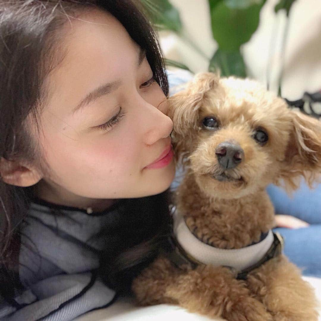 熊谷江里子さんのインスタグラム写真 - (熊谷江里子Instagram)「🐶💗 あっという間に帰らないと行けない日になっちゃいました…。 寂しいな、、、😔 家族との時間は大切ですね！ でもまた会える日まで頑張るぞ〜💪🏽 #チャージ完了 #喜八郎 #マブダチ #トイプードル #14歳」4月23日 16時40分 - eriko___kumagai