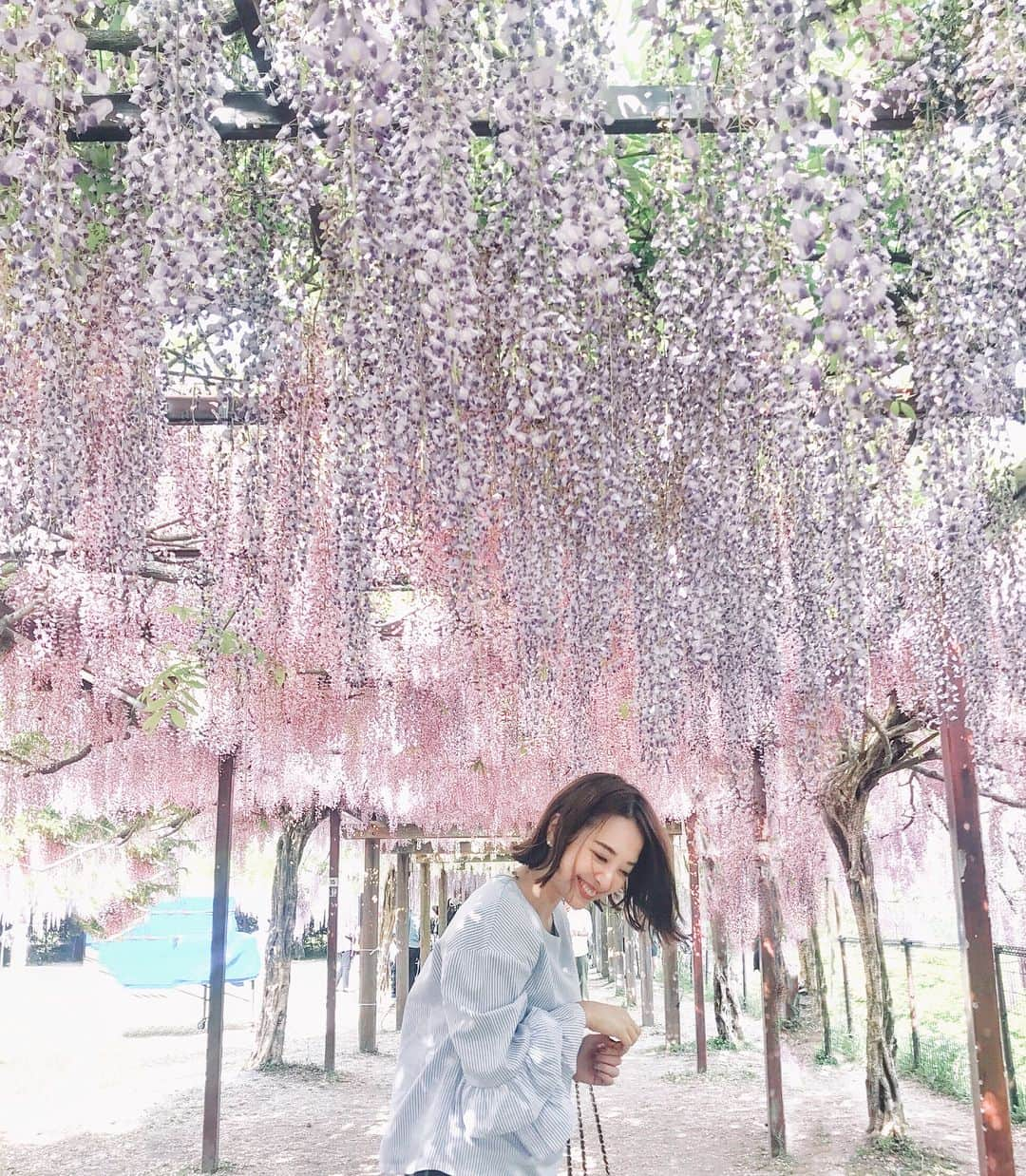 山下奈々美さんのインスタグラム写真 - (山下奈々美Instagram)「今日ずっと雨だったねー🌂 ・ 週末に行った #藤まつり 本当キレイだった❤︎ またGW行きたい！！ ・ ・ #鹿児島#kagoshima  #藤 #和気公園  #しだれ桜」4月24日 20時29分 - nanami_yamanana