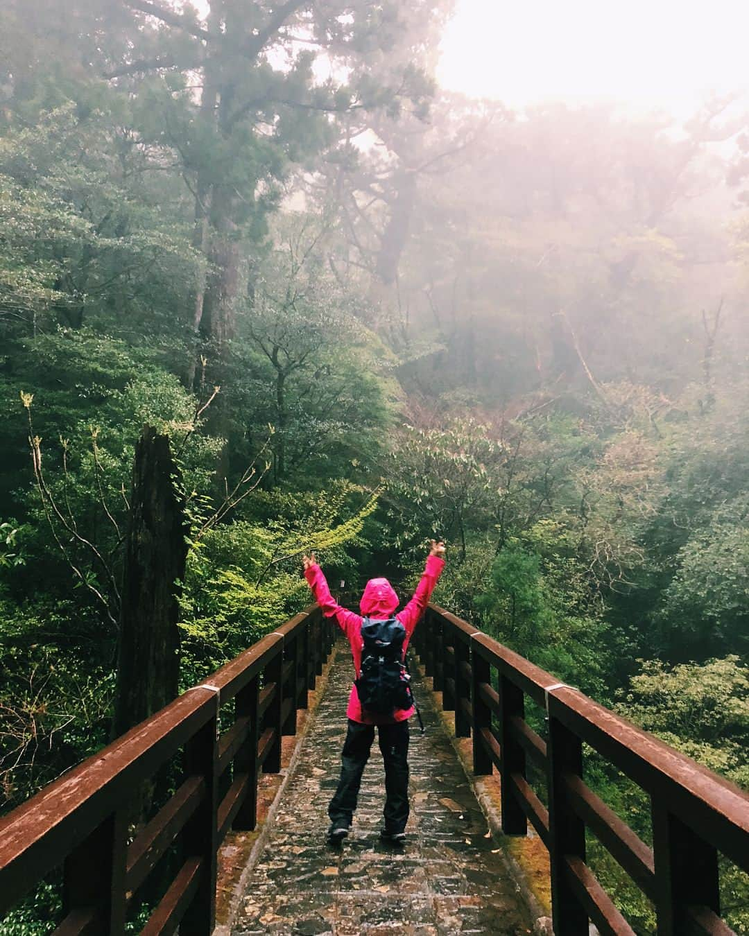 谷まりあさんのインスタグラム写真 - (谷まりあInstagram)「屋久島に来てます💙雨の中でも自然の偉大さを感じれて幸せ🙈💙💙 大きな深呼吸をたくさんしちゃいました💙 #naturalbeautycamp #ナチュラルビューティーキャンプ #屋久島 #バーグハウス #好日山荘 @berghausofficial @naturalbeautycamp」4月24日 17時05分 - mariaaaa728