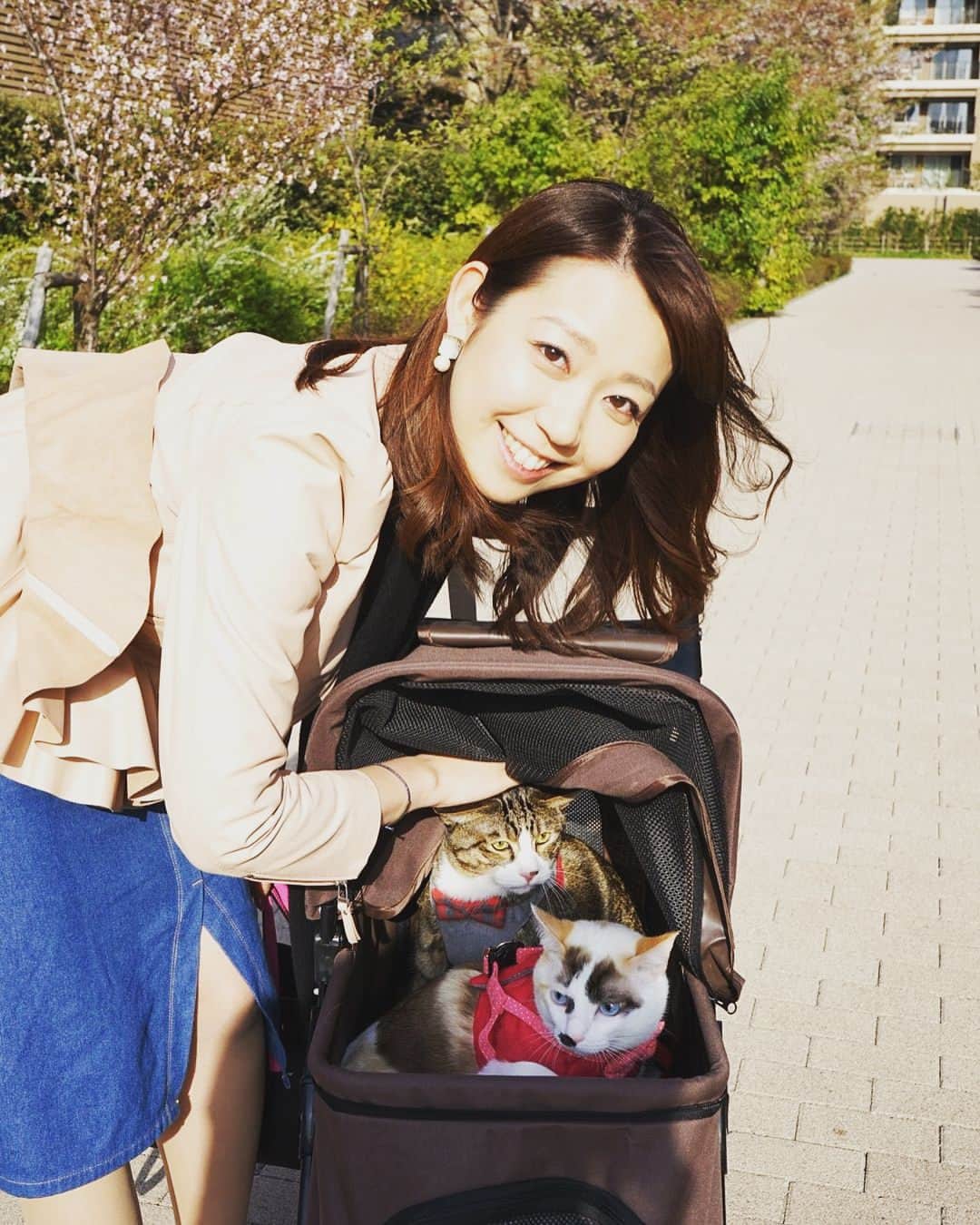 須黒清華のインスタグラム：「猫飼いました🐱 . . . 嘘です😋笑 久しぶりにえみさん家の猫ちゃんたちに会いに行って、一緒にお散歩して来ました🌸 散りゆく桜もとっても綺麗ですよね〜。 このお散歩、もしもの時の避難訓練なんですって。 そしてえみさんと久しぶりに語りました〜。 目標を立てることは大事だけど、 一番大切なのは、自分が楽しいと思えることに夢中になること✨ えみさんとはもう長い付き合いで、旅行したり美味しいもの食べたり、くだらないことで笑える関係だけど、仕事に向き合う姿勢はいつも尊敬してます✨ これは嘘じゃないよ〜笑 #エイプリルフール #猫 #お散歩 #避難訓練 #本橋恵美 #いつもありがとう💓」