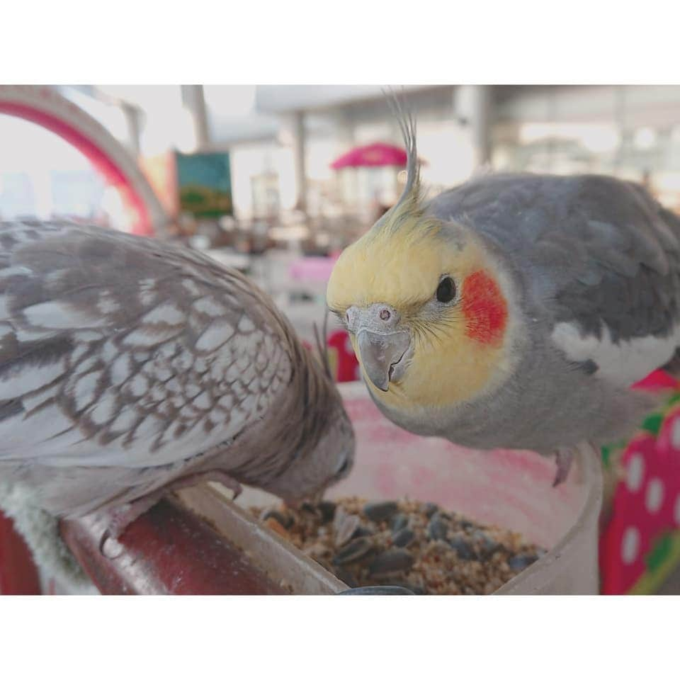 空野青空のインスタグラム