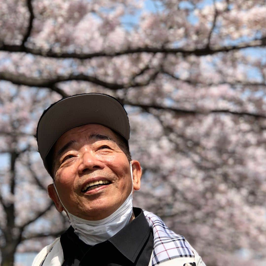 石田靖さんのインスタグラム写真 - (石田靖Instagram)「泉佐野市民文化会館 エブノ泉の森ホールで泉佐野市政70周年記念新喜劇公演❗️ 1回目終わりに坂田師匠&池乃めだかさんと桜並木を散策〜 #泉佐野市 #イヌナキン #泉佐野市市政70周年 #泉佐野市立文化会館 #エブノ森の泉ホール  #新喜劇 #桜並木 #桜 #cherryblossom  #アホの坂田 #池乃めだか #師匠と桜 #散策 #一期一笑  #石田靖」4月1日 13時20分 - yasulog