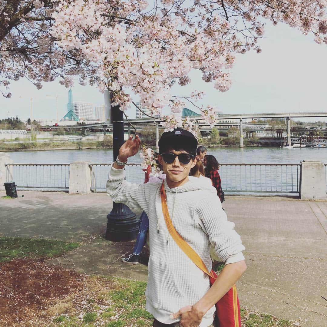 大迫傑さんのインスタグラム写真 - (大迫傑Instagram)「ポートランドの桜も満開です。 #portland #ポートランド #桜 #ピクニック #ダウンタウン #土曜日」4月1日 11時22分 - suguru_osako