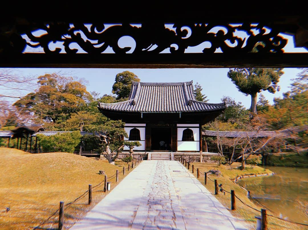 伊藤ゆりさんのインスタグラム写真 - (伊藤ゆりInstagram)「高台寺@京都 しだれ桜満開！ . 京都 #桜 #桜満開 #しだれ桜 #高台寺 #桜きれい #桜満開🌸 #竹林 #しだれ桜満開」4月1日 22時11分 - ito0aiueorange