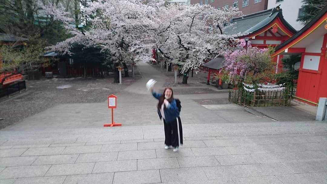 山田愛実さんのインスタグラム写真 - (山田愛実Instagram)「. . 4月1日なんで桜と藤本載せときます。 . テンション上がってジャンプしたら、最後ぐちゃぐちゃになりました。 . #TEAMBANANA  #桜 #花園神社  #5月5日単独きてね .」4月1日 16時05分 - teambanana_yamada