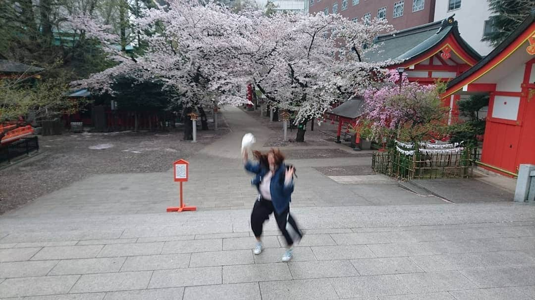 山田愛実さんのインスタグラム写真 - (山田愛実Instagram)「. . 4月1日なんで桜と藤本載せときます。 . テンション上がってジャンプしたら、最後ぐちゃぐちゃになりました。 . #TEAMBANANA  #桜 #花園神社  #5月5日単独きてね .」4月1日 16時05分 - teambanana_yamada