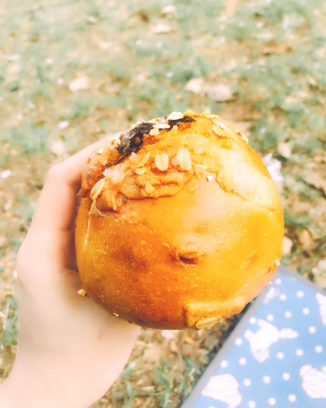 日下部ゆいこさんのインスタグラム写真 - (日下部ゆいこInstagram)「昔から大好きな tecona bagel works のベーグルとスコーン をお供に 代々木公園で プチピクニック . やっぱり絶品。 桜餡のベーグル。 . 今日も平和な 日曜日でした。 . #teconabagelworks  #bagle #picnic #japan #japanese #テコナベーグルワークス  #ベーグル #スコーン #ピクニック  #代々木公園  #代々木八幡 #マタニティ #プレママ」4月1日 18時17分 - yuiko_kusakabe