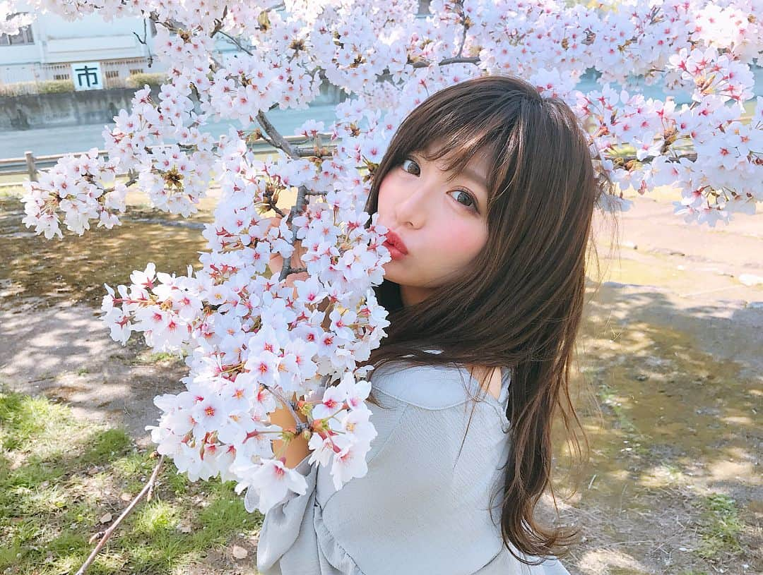 伊藤実祐さんのインスタグラム写真 - (伊藤実祐Instagram)「. . ( よぉよぉ見て。桜は持ってません🙃👍🏼💨 ) ( なんやったら持って行った椅子の上に立って 必死に桜と身長合わせて撮った1枚🤳the 裏側。笑 ) . . とにかく、今日から4月 !! 🌸 そんな今日は大好きな地元の友達の 結婚式からスタートしました\(◡̈)/ ♡♬💕♪ . . 羨ましさ と ちょぴっと悲しい気持ち と たっぷりの幸せ を感じられて胸いっぱいな日☺️ . 余興も無事大成功 . . . 💓ホっ。 . . みゆもさ、 いつか素敵な人と出会い、結婚できるように。 今はまずお仕事！！それしかない😤💓 . そしたら自ずと、プライベートも 恋愛も充実するって😊もっともっと❤️ww . . ハァ、めちゃくちゃ良き気持ちで 新年度スタートです٩( ᐛ )( ᐖ )۶ 💨💕 . . #4月 #新年度 #桜 #お花見 #お花見日和 #結婚式 #wedding #余興 #テンション上がりすぎて #アドリブ #炸裂 #癖強め #平子会 #平子 #モデル #TOKYOcreatist #伊藤実祐 #いとうみゆ . . ってゆって、伊藤、来年結婚します . . .💓!! #エイプリルフール ？ .」4月1日 20時35分 - miyu.61