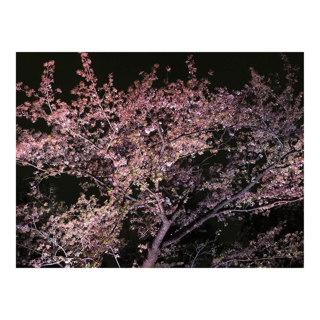 村田莉のグルメインスタ