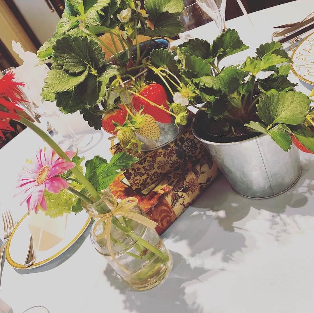 オードヴィーウェディング【名古屋・結婚式場】 のグルメインスタ