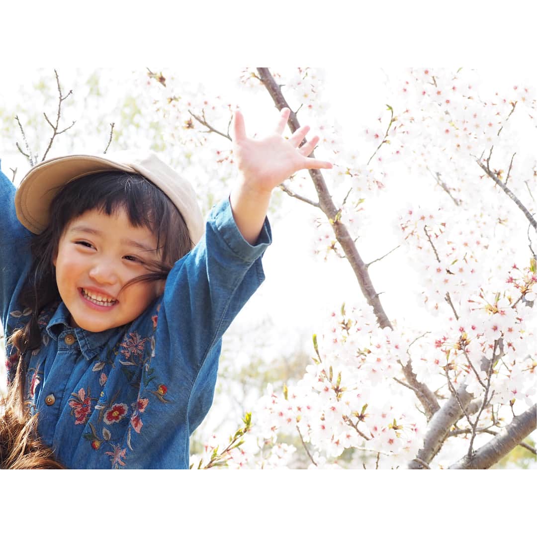 のインスタグラム：「20180401 * * April🌸🌸🌸 * 今日はEasterイベント🐣に参加してから 仲良しのお友達と公園へ いつも楽しそうに遊ぶけどお友達がいると さらにはしゃいでかわいかったなぁ☺️ * 明日から新学期✨ 先生は誰になるかなーなんてドキドキだけど お兄ちゃんお姉ちゃんと過ごす時間も増えるからこの一年はさらに成長するんだろうなぁ✨あと一ヶ月でお誕生日なんて信じられない🤭🤭🤭✨ 毎日笑顔いっぱいに過ごせますように🌸 楽しみなこともあるし春はなんだかワクワクウキウキするな🌸 #4月もよろしくお願いします #3歳#3歳10ヶ月#桜」