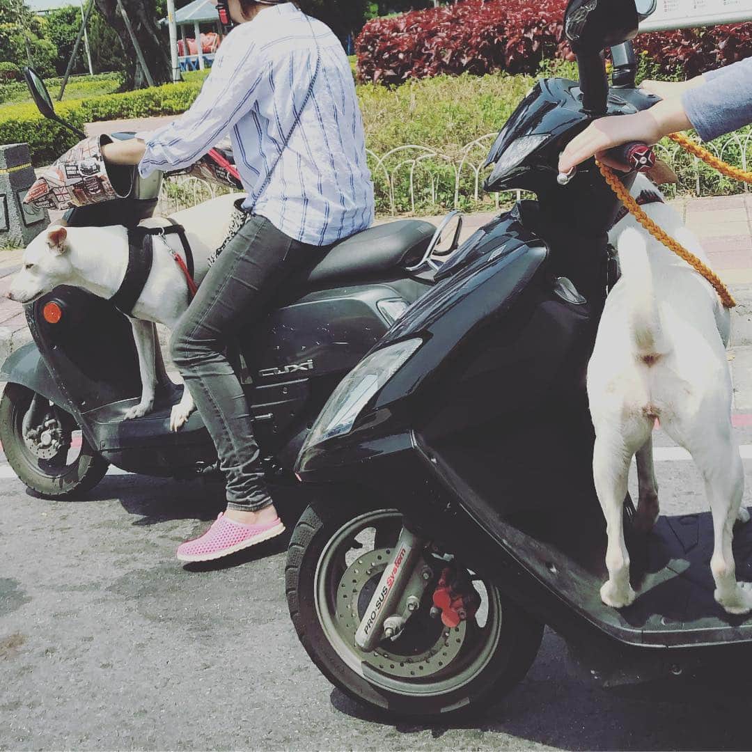 のインスタグラム：「台湾でワンマンライブが出来るなんて本当にバンド続けてきてよかったなーと思えたし、人柄や温かさに触れて、またいつか必ず帰ってきたいと強く思った。台湾のみなさん、ありがとうございました！写真はタクシーからふと外を見た時の光景です。 #チェコノーリパブリック #台湾 #5人になって5周年 #臭豆腐は無理」