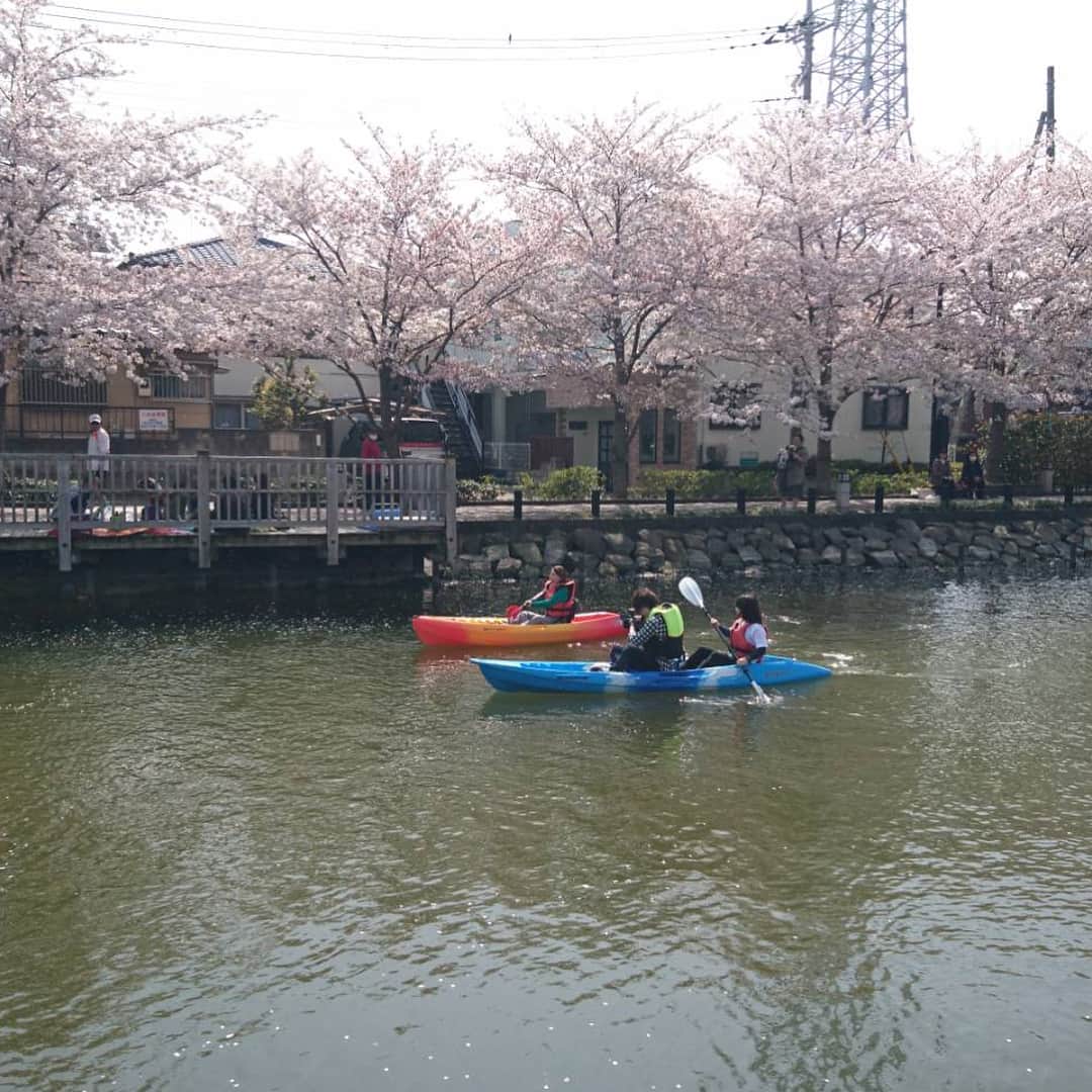 松本実優さんのインスタグラム写真 - (松本実優Instagram)「きのうは江戸川区の広報番組のロケでした！満開の桜を眺めながらカヌー初体験♫はじめは怖すぎてワーキャーでしたが、徐々に慣れて爽快でした😂✨ #カヌー #満開の桜 #東京2020大会に向けた取り組み #江戸川区」4月2日 19時01分 - miyu.matsumoto89