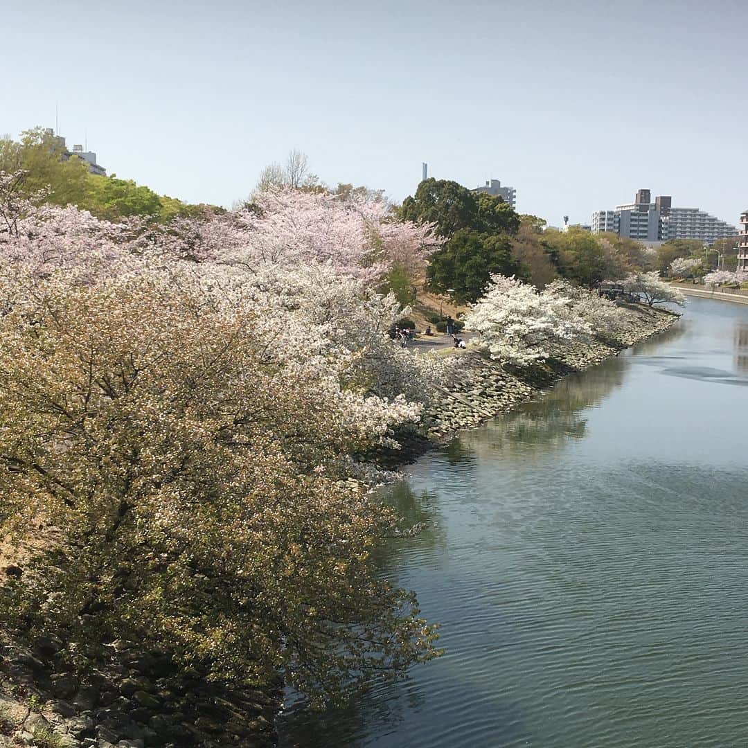 松本実優さんのインスタグラム写真 - (松本実優Instagram)「きのうは江戸川区の広報番組のロケでした！満開の桜を眺めながらカヌー初体験♫はじめは怖すぎてワーキャーでしたが、徐々に慣れて爽快でした😂✨ #カヌー #満開の桜 #東京2020大会に向けた取り組み #江戸川区」4月2日 19時01分 - miyu.matsumoto89