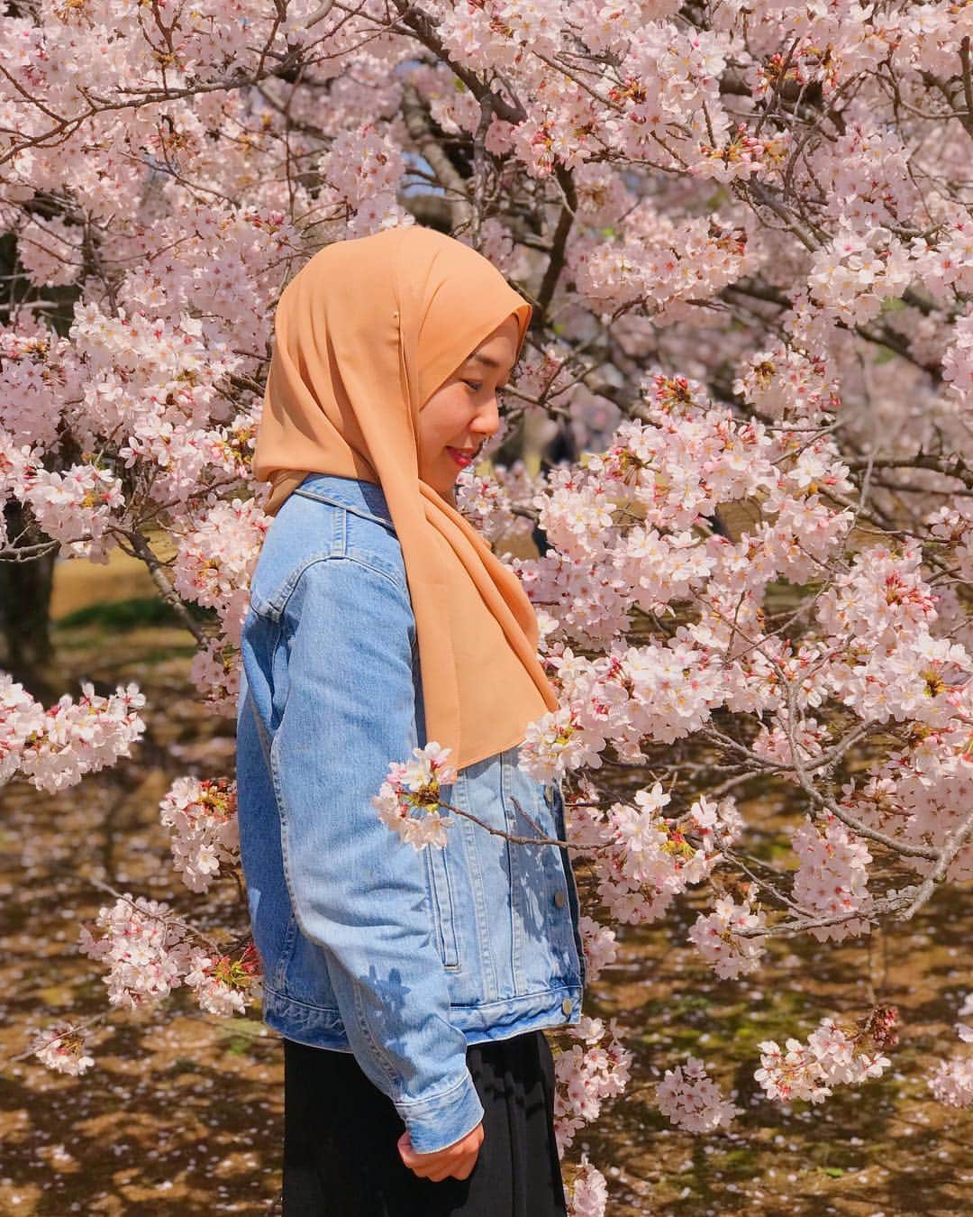 Risa Mizunoのインスタグラム：「Last week my husband and I are finally got some time to relax with cherry blossom viewing (Hanami in Japanese) at Shinjyuku Gyoen park, one of the famous Sakura spots in Tokyo 🌸  Enjoy Hanami at Shinjyuku Gyoen is the best for Muslim and Muslimah because the park does not allow visitors to bring alcohol drinks inside so we can enjoy jalan2 there with full of peace😊  Thinking to visit Japan next spring? Put “Hanami at Shinjyuku Gyoen Park” into your bucket list ❤️ #japanesemuslim #japanesemuslimah #muslim #muslimah #japanese #japan #tokyo #muslimahtokyo #travel #travelblogger #travelgram #travellover #travellife #beautifulexplorers #hijab #tudung #sakura #cherryblossoms #日本人ムスリム #日本 #東京 #マレーシア #国際結婚 #🇲🇾 #🇯🇵 #新宿御苑 #桜 #花見 #🌸」