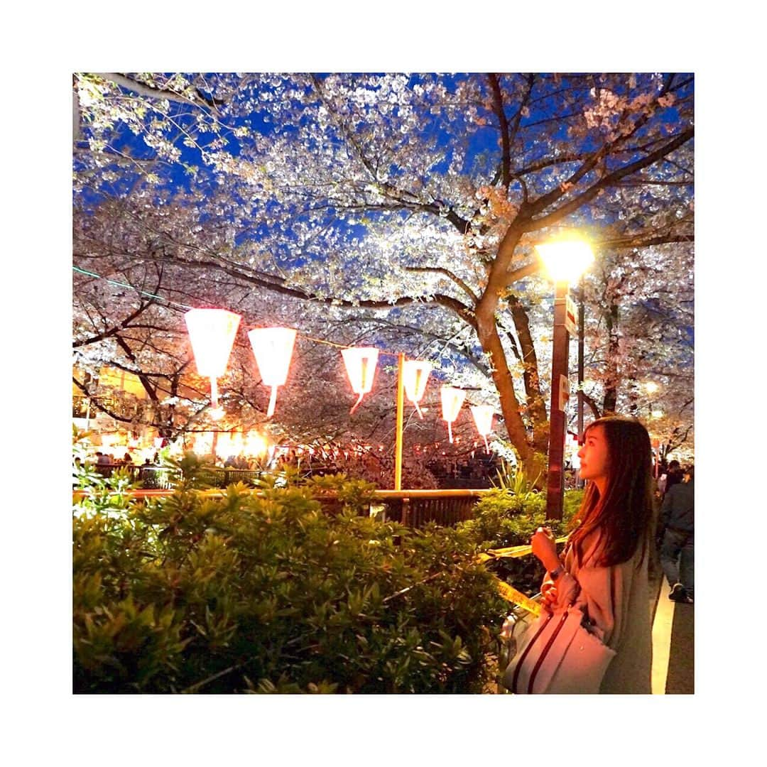 西村笑花さんのインスタグラム写真 - (西村笑花Instagram)「🌝 ・ ・ あっという間に桜も散ってちょっと切ないなぁ〜(´,,•ω•,,｀) 今月から新たな気持ちでまた色々頑張る！✊🏻🌸✨ #4月スタート #4月 #夜桜 #桜と月 #中目黒 #桜祭り #桜 #sakura #japan #🌸 #🌕 #🌝」4月3日 9時14分 - emika_nishimura